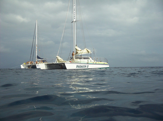 终极观鲸之旅-拉海纳必去景点
