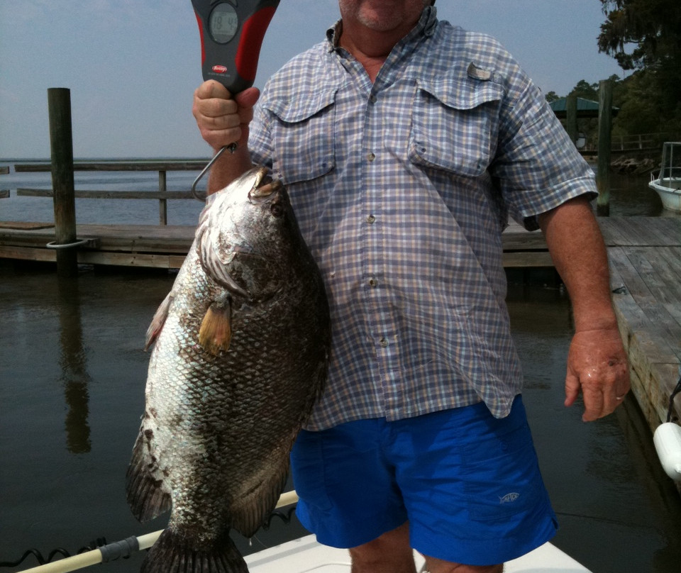 Coffee Bluff Marina-萨凡纳必去景点