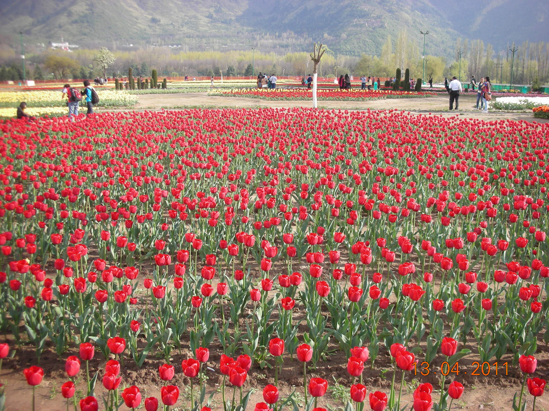 Indira Gandhi Tulip Garden景点图片