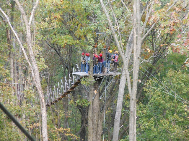 Lake Geneva Ziplines & Adventures-日内瓦湖必去景点