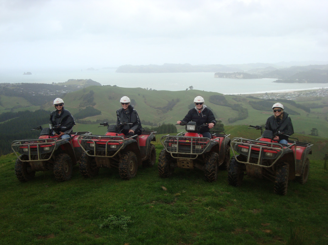 NZ Quadbike Adventures-菲蒂昂格必去景点