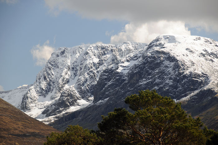 West Coast Mountain Guides景点图片