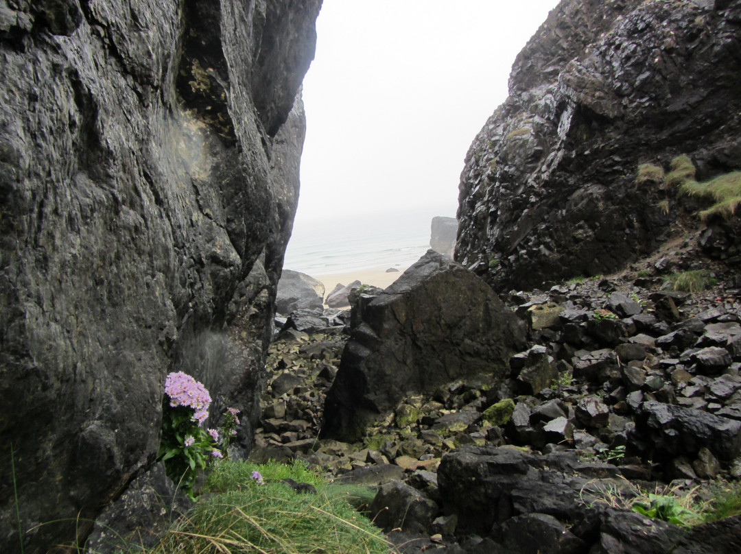 The Lizard and Kynance Cove-Lizard必去景点