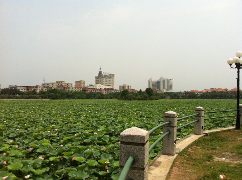 桥头三正半山酒店-客卧