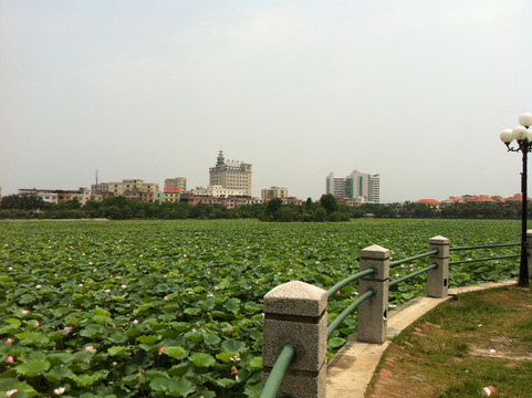 桥头三正半山酒店主图