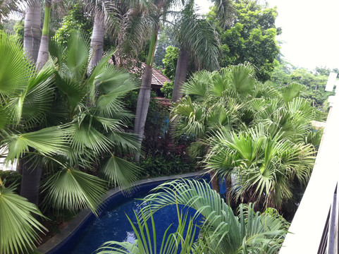 桥头三正半山酒店主图