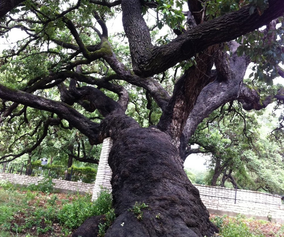 Landa Park-新布朗费尔斯必去景点