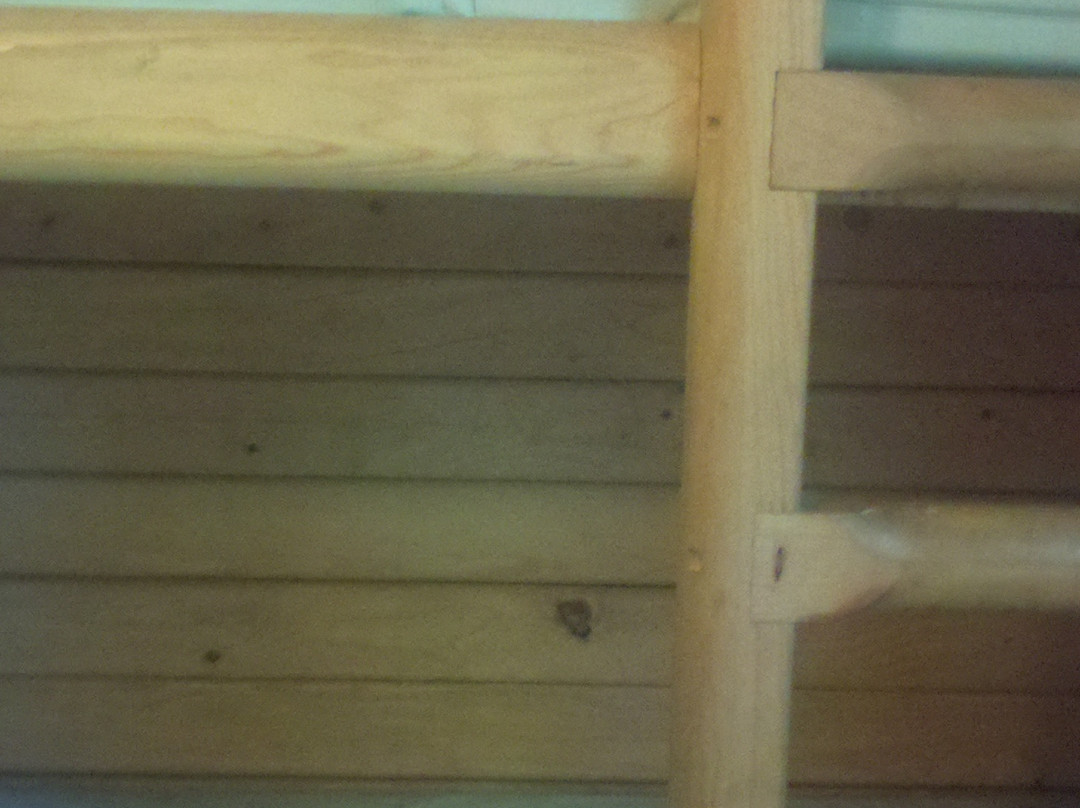 Bethel旅游景点-Trap Pond State Park