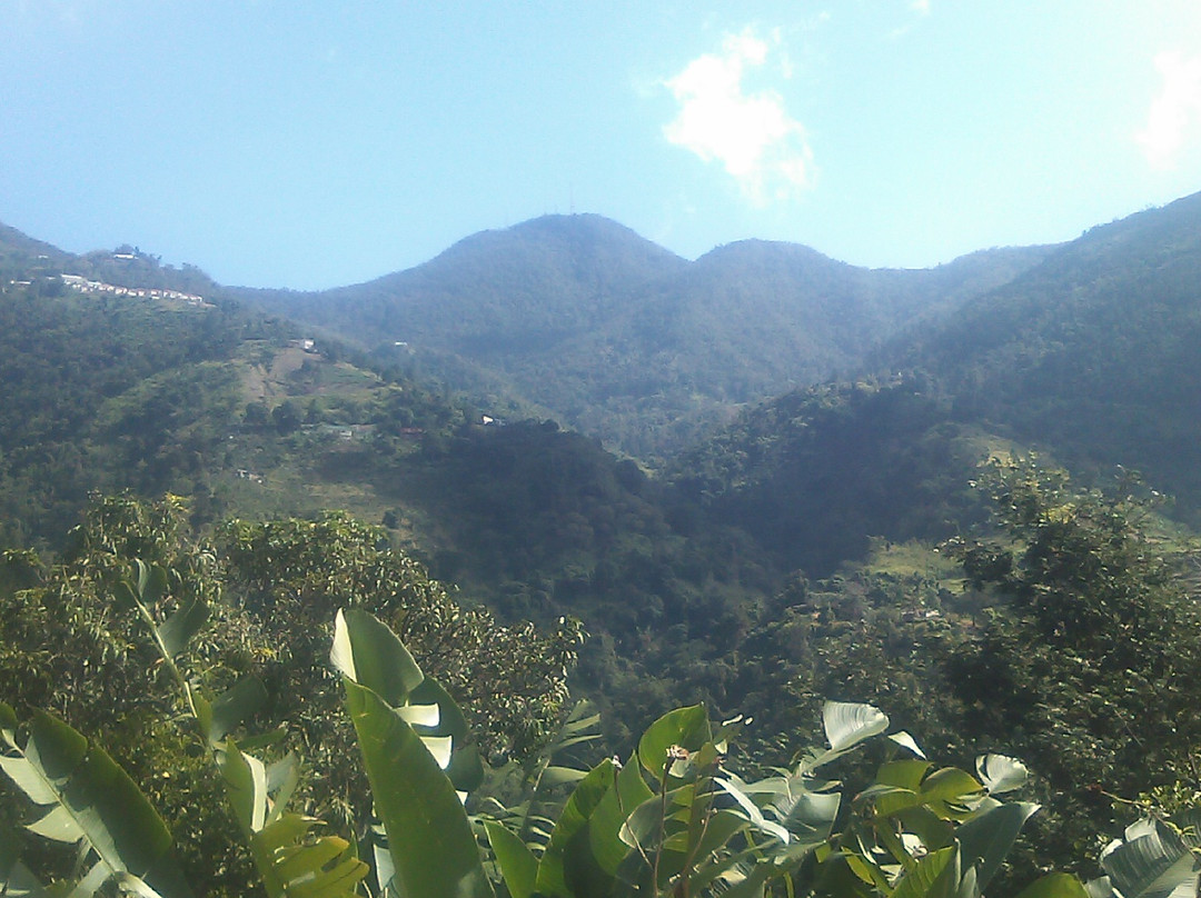 Blue Mountain Peak景点图片