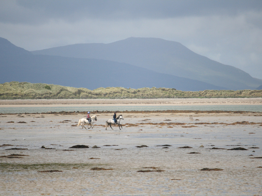 Croagh Patrick Stables-Murrisk必去景点