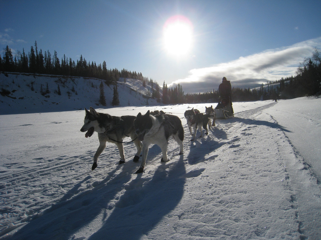 Muktuk Adventures-白马市必去景点