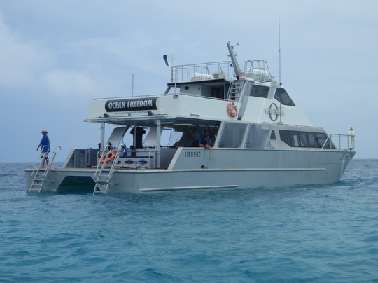 大堡礁巡航之旅-凯恩斯必去景点