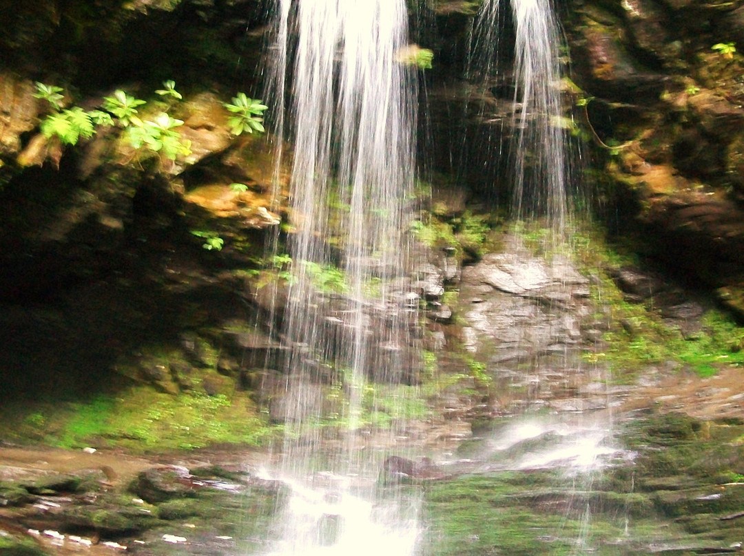 Grotto Falls Trail-大雾山国家公园必去景点