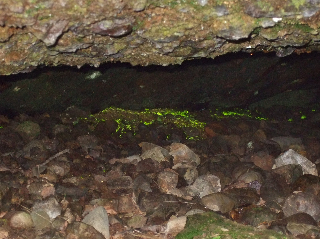 Maccaus Cave景点图片