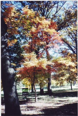 Morton Arboretum-Lisle必去景点