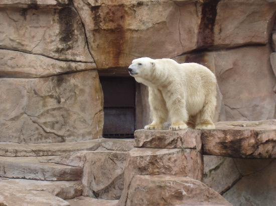 亨利维拉斯动物园-麦迪逊必去景点