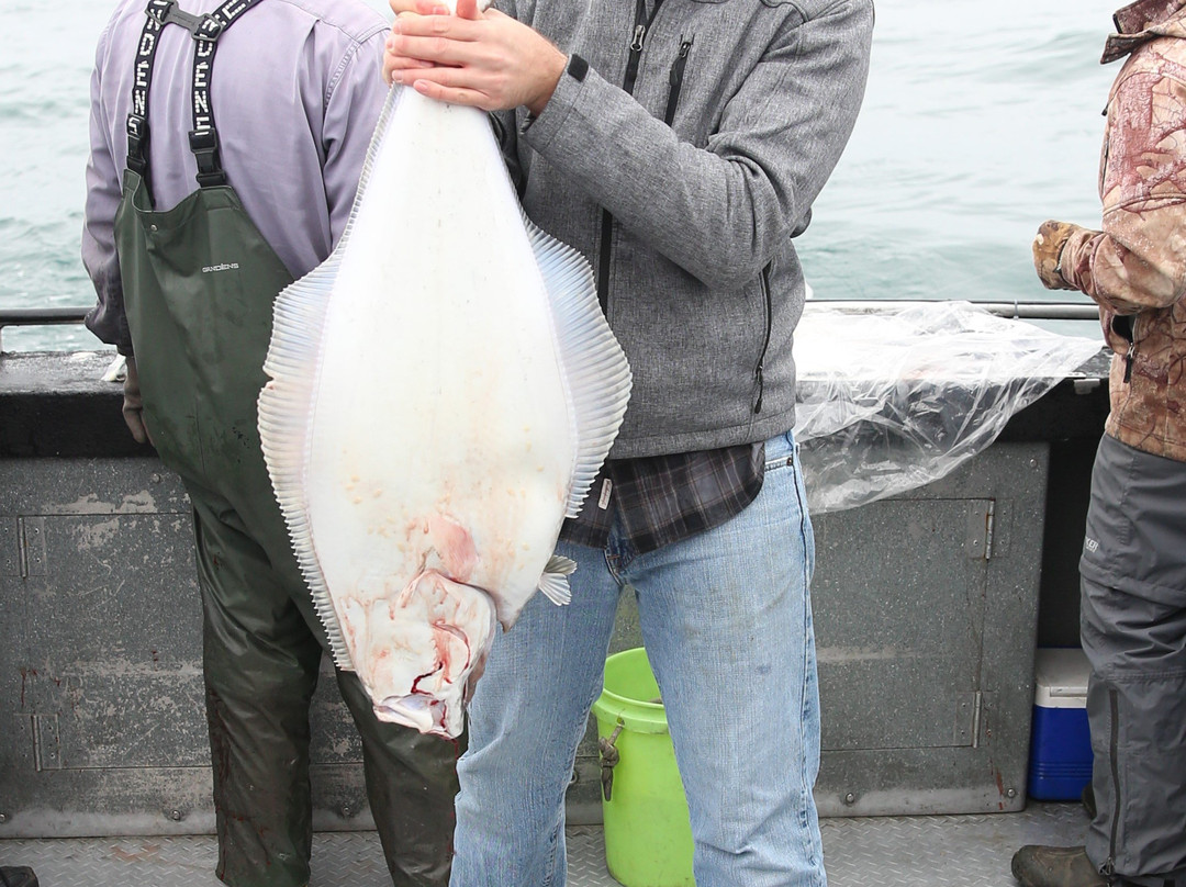 Alaska Fishing Charter-尼尔奇克必去景点