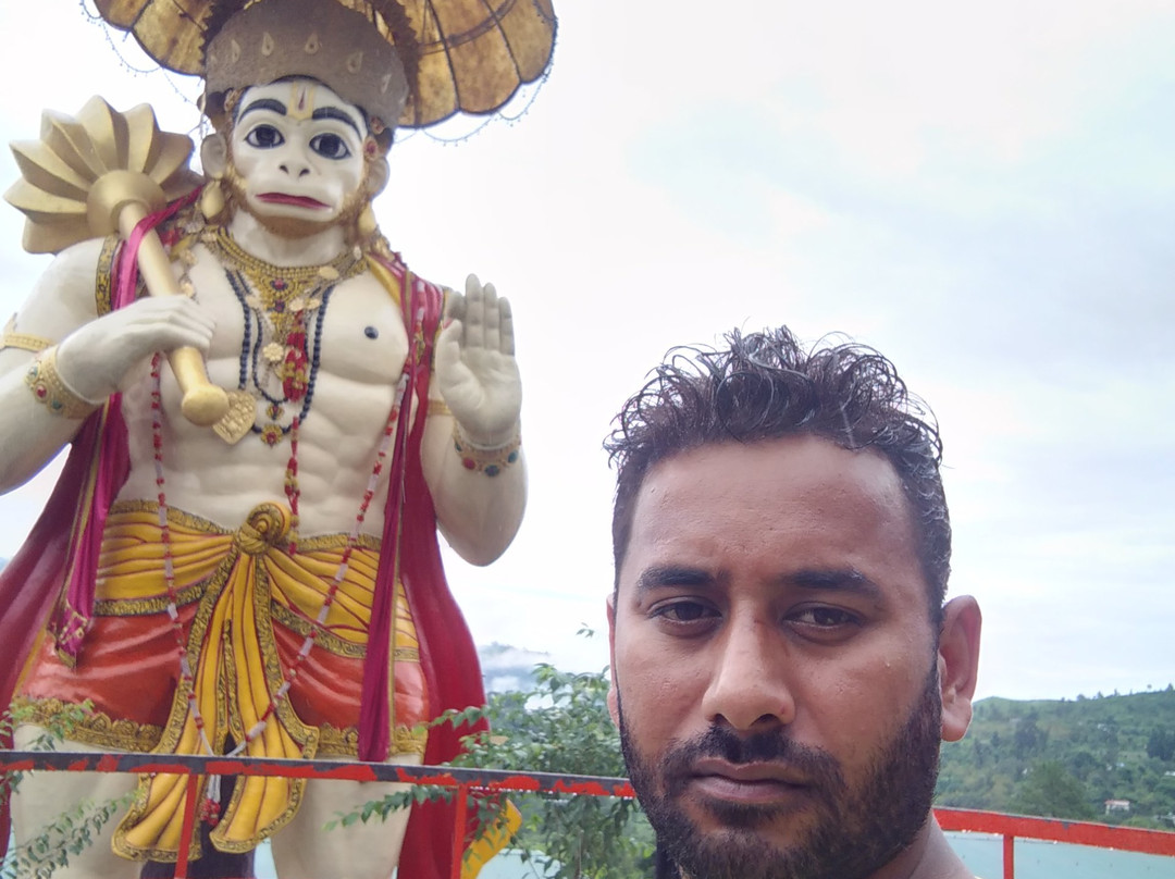 Hotel Spring Birds主图