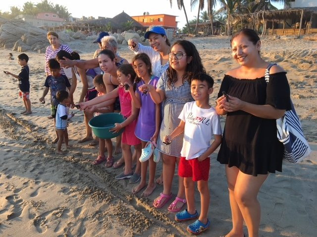 Hotel Marea Brava主图