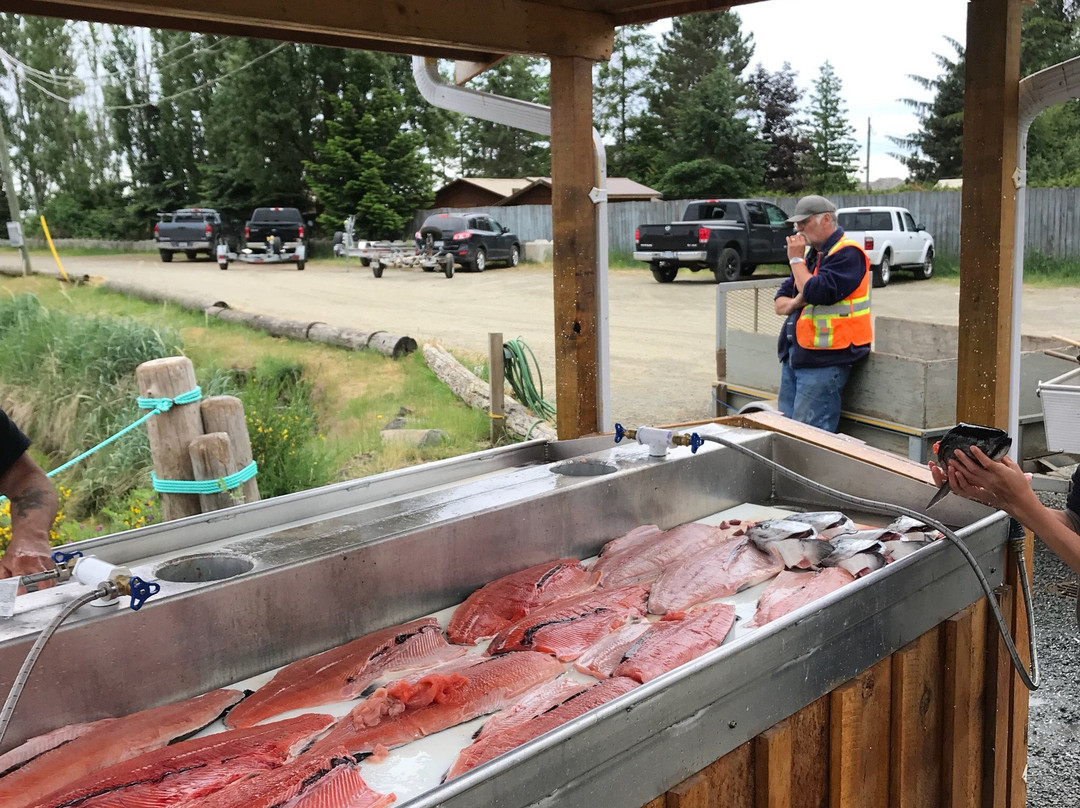 Slabrador Salmon Charters景点图片