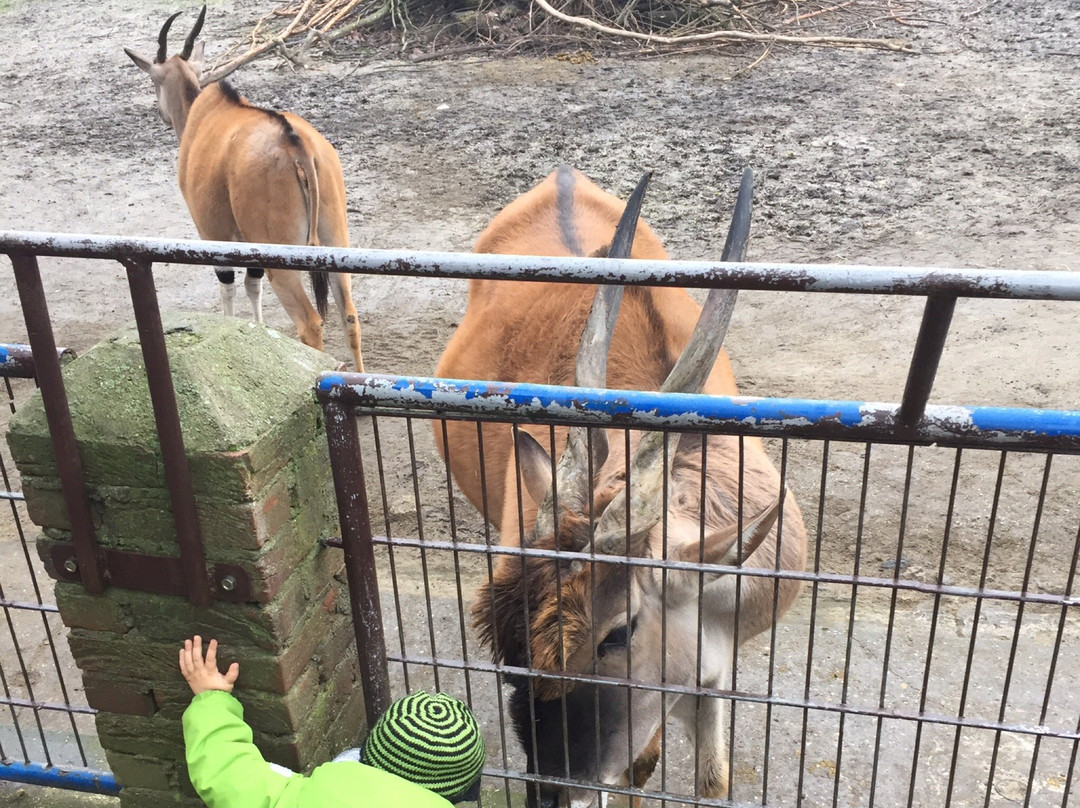 Tierpark Hamm景点图片