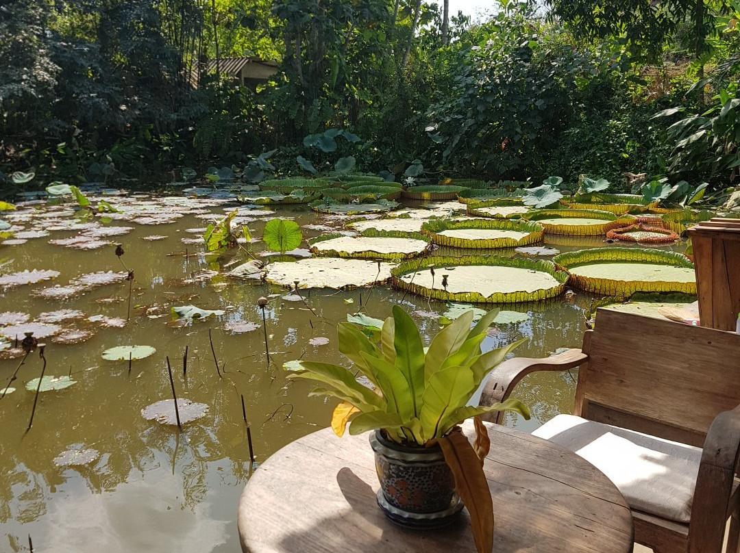 Na Vana Thai Massage and Spa景点图片