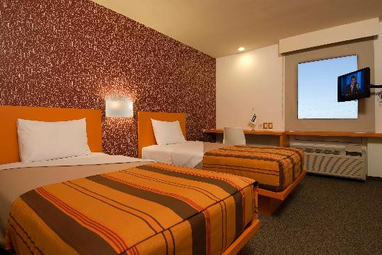 City Express Junior Chihuahua