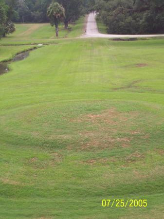 Drayton Hall-查尔斯顿必去景点