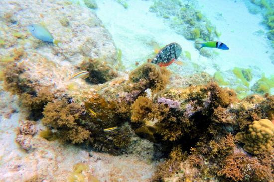 Spring Bay-维京果岛必去景点