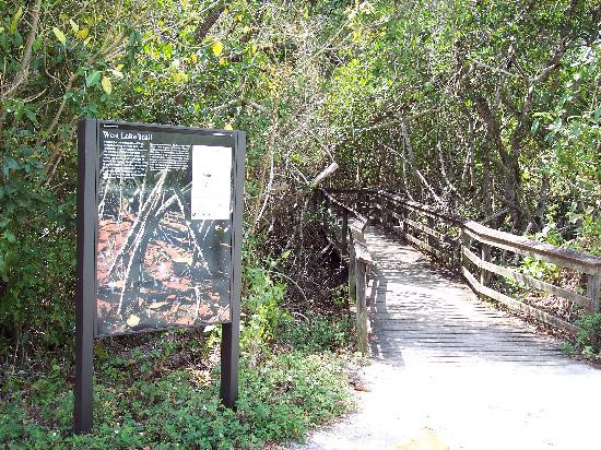 West Lake Trail-大沼泽国家公园必去景点