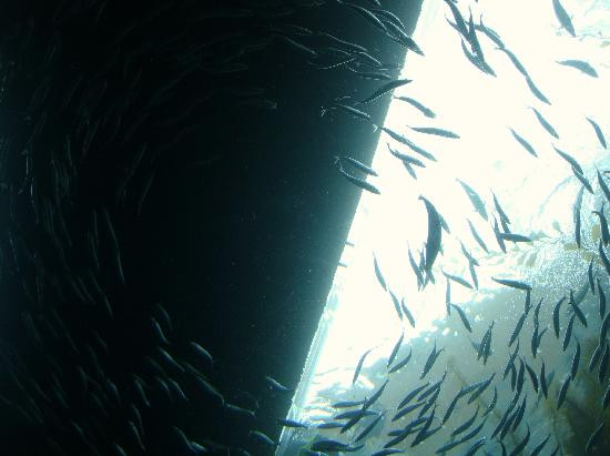 加利福尼亚科技中心-洛杉矶必去景点