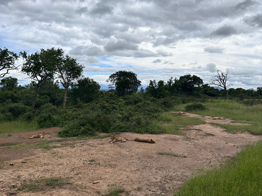 Usambara Expeditions-Dar es Salaam必去景点