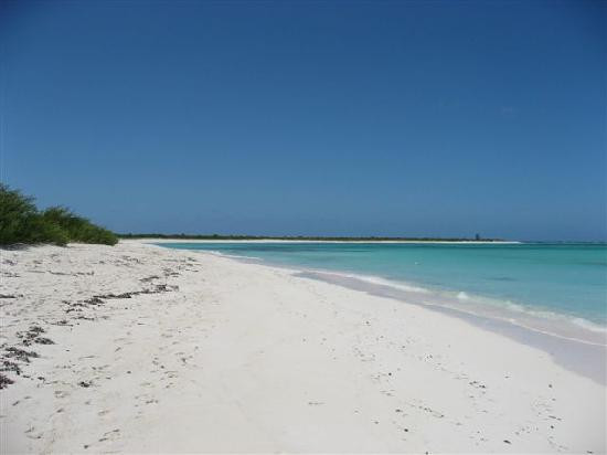 Anegada Island-Anegada必去景点