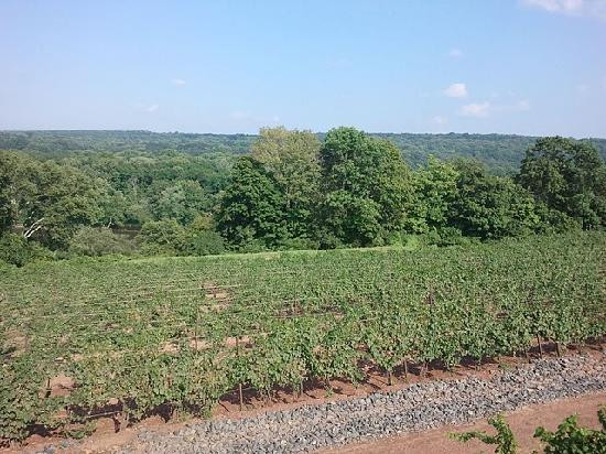 Sand Castle Winery景点图片