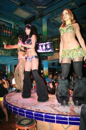 芒果热带咖啡厅-迈阿密海滩必去景点