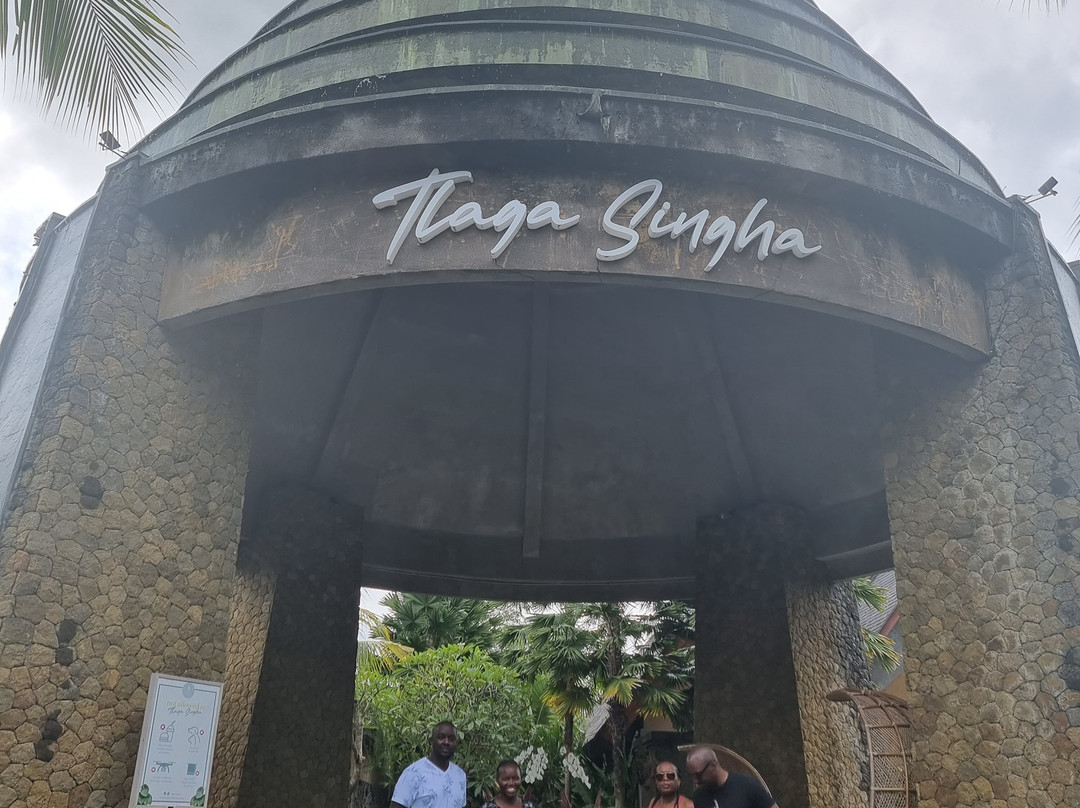 Blue Star Bali Tour-图班必去景点