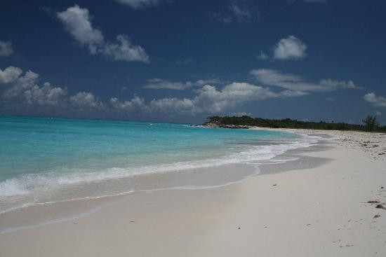 Caicos Dream Tours-普罗维登西亚莱斯必去景点