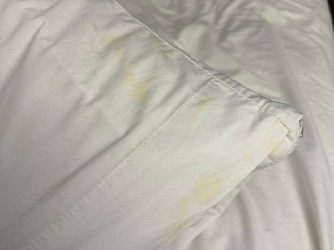 Candlewood Suites Longmont - Boulder Area by IHG主图