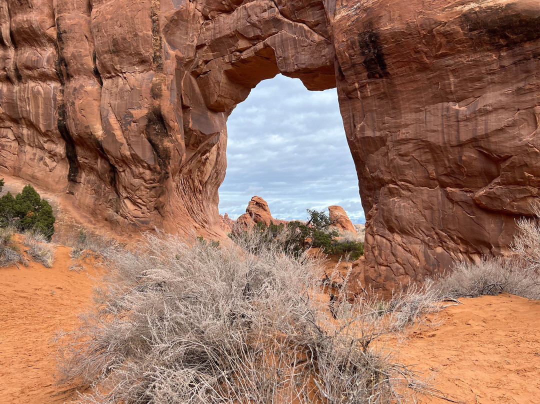 Pine Tree Arch-拱门国家公园必去景点