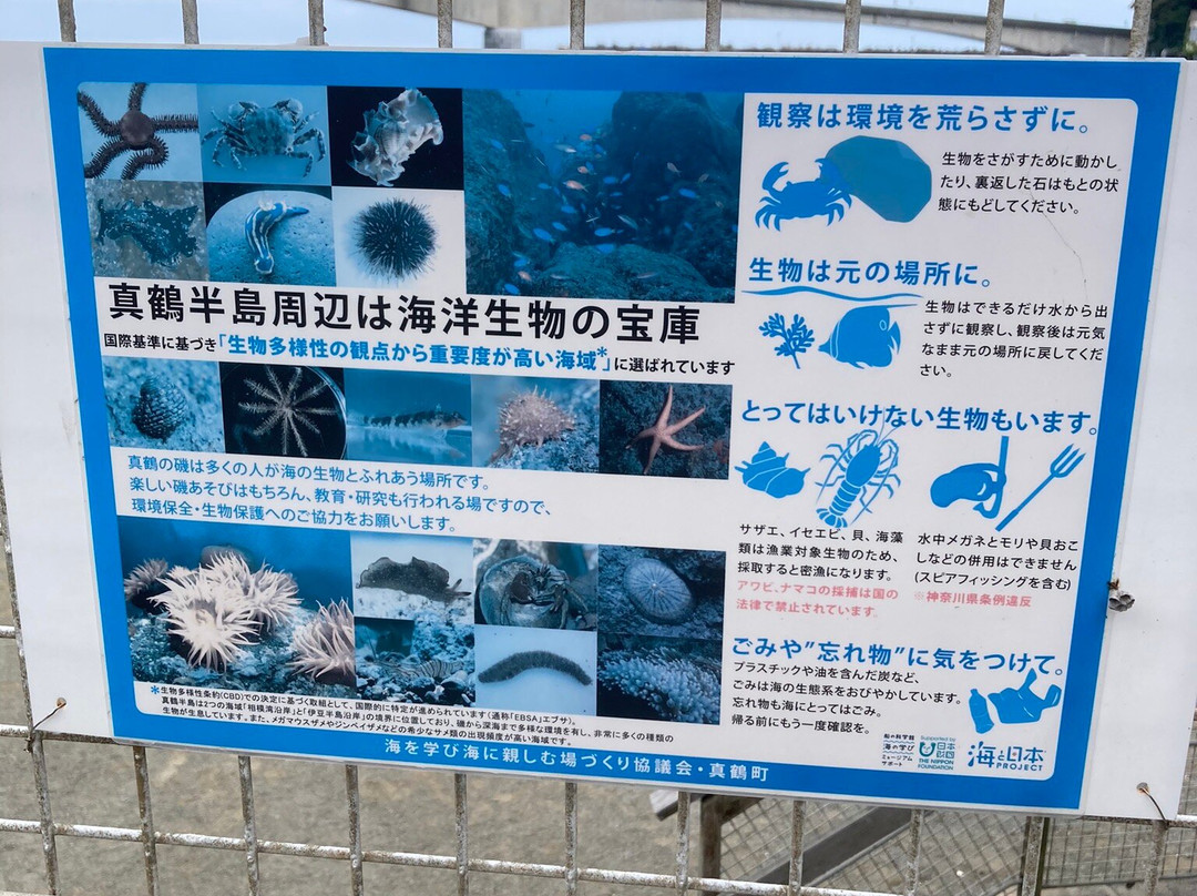 Iwa Beach-真鹤町必去景点