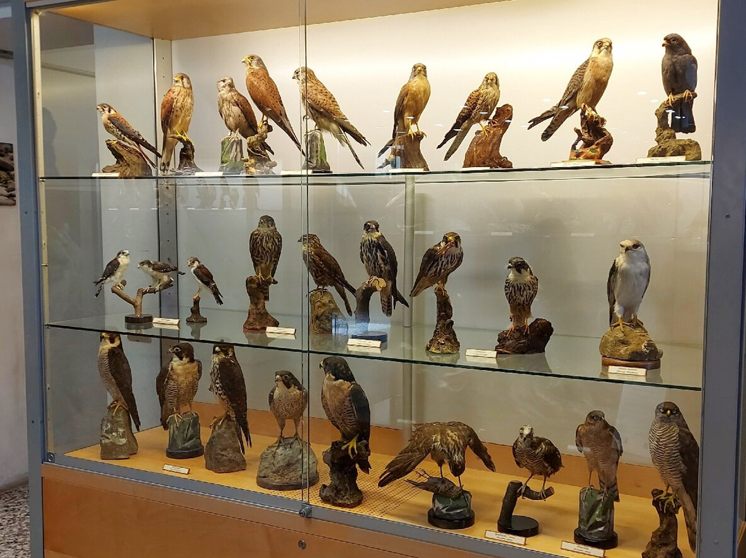 Museo Civico di Lentate sul Seveso景点图片
