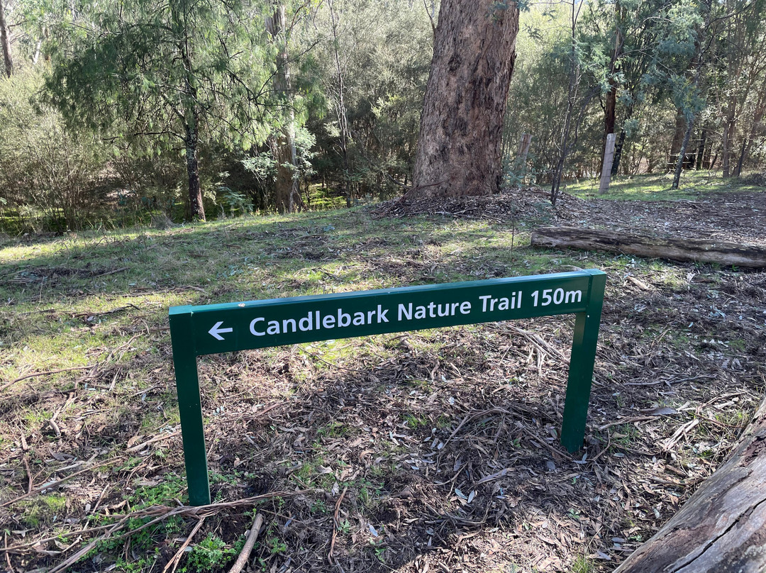 Candlebark Nature Trail景点图片
