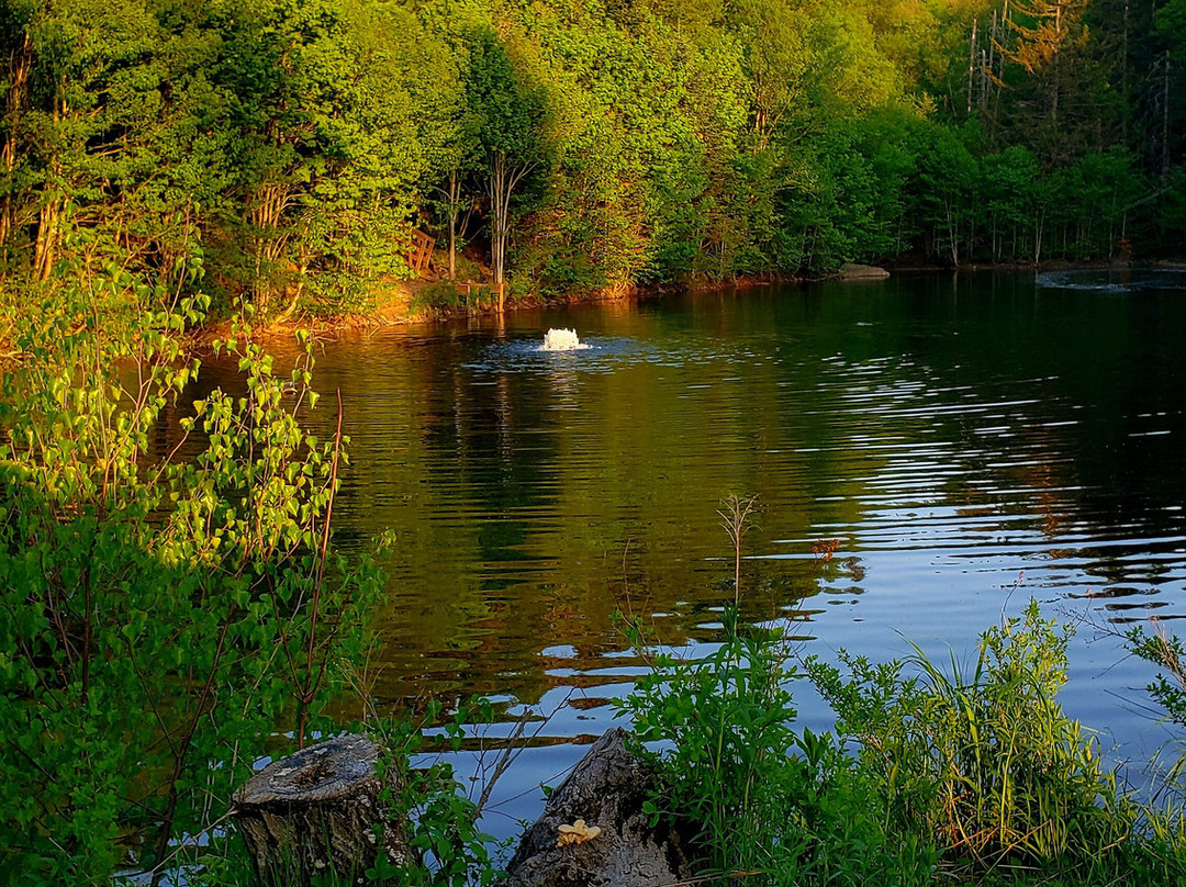 Pourvoirie du Lac Beauport-Lac-Beauport必去景点