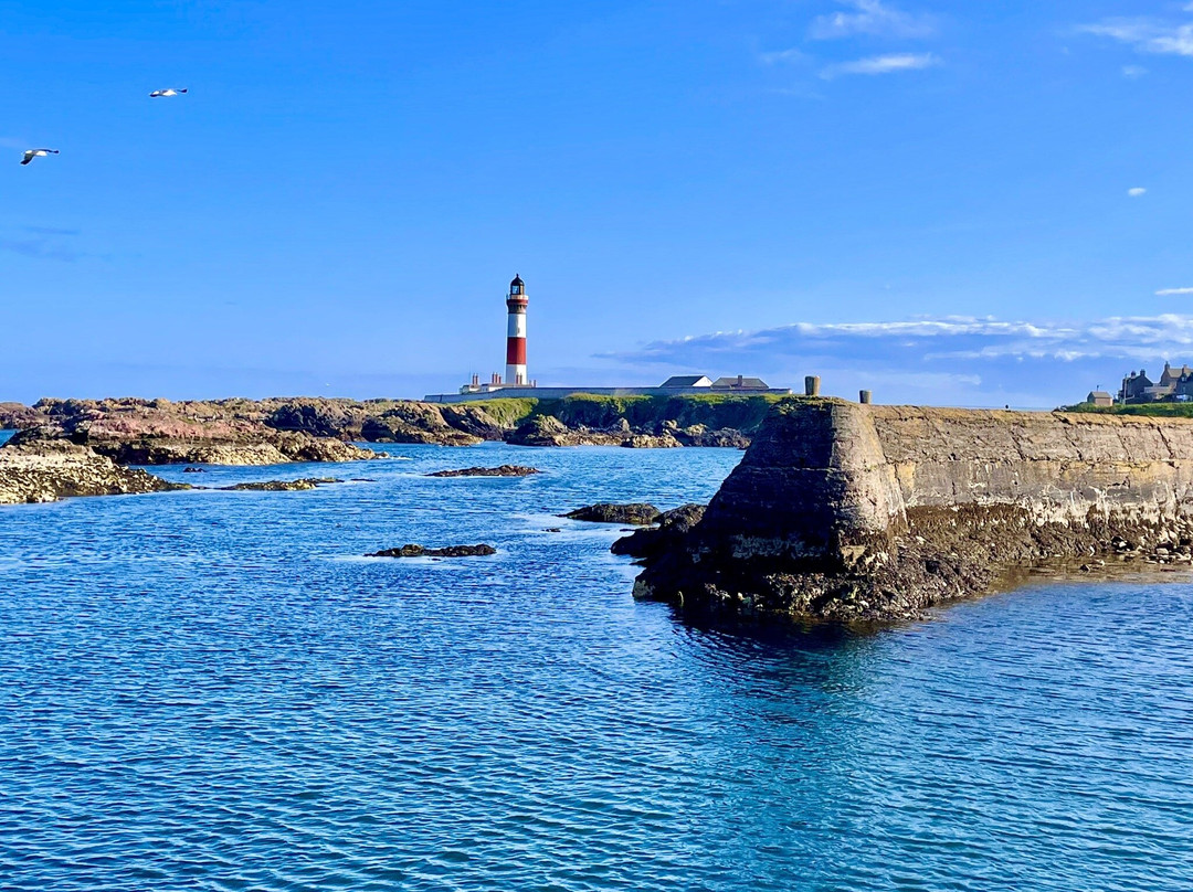 Buchan Ness Lighthouse-Boddam必去景点