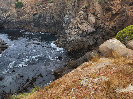Mares Dive Center Padi-恩塞纳达必去景点