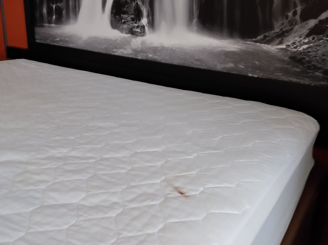 克洛弗代尔速8酒店主图