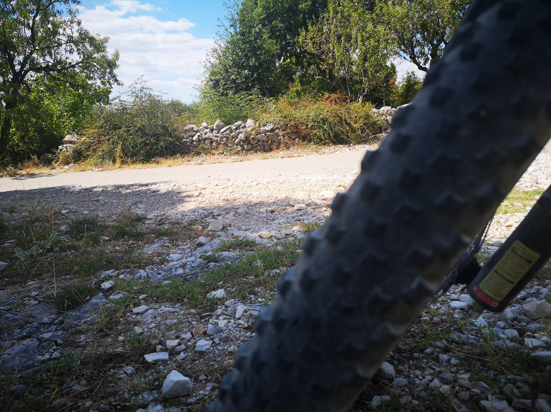Riki Adventures Ebike Rental And Tours景点图片
