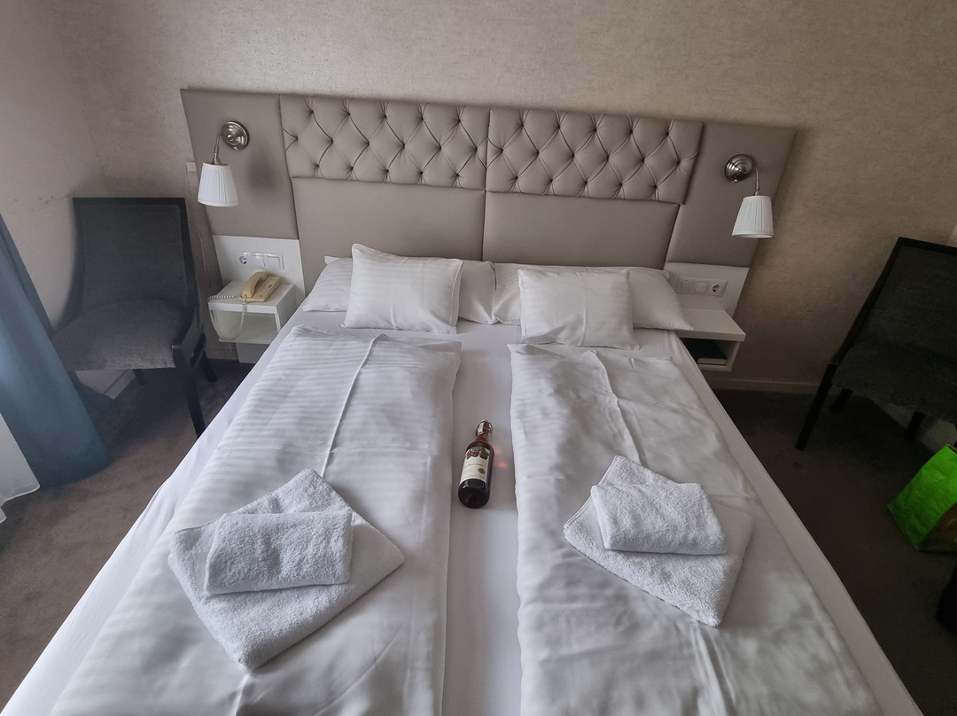 Bastya Wellness Hotel Superior主图