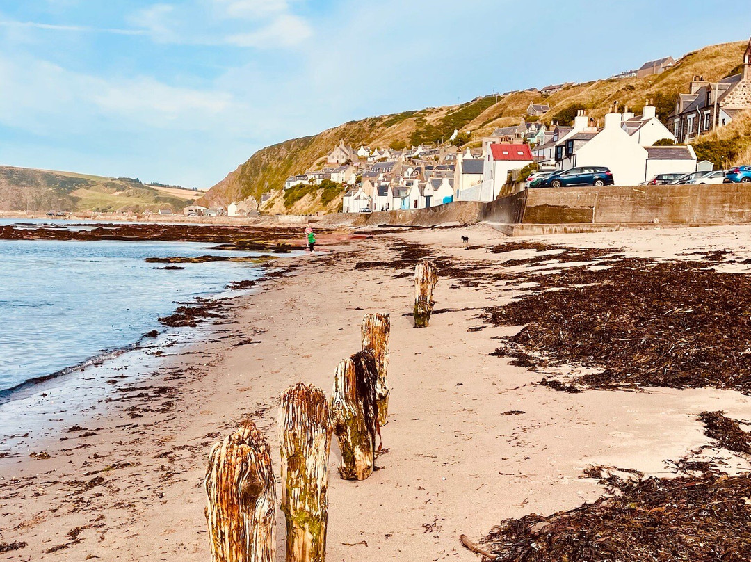 Gardenstown Beach-Gardenstown必去景点