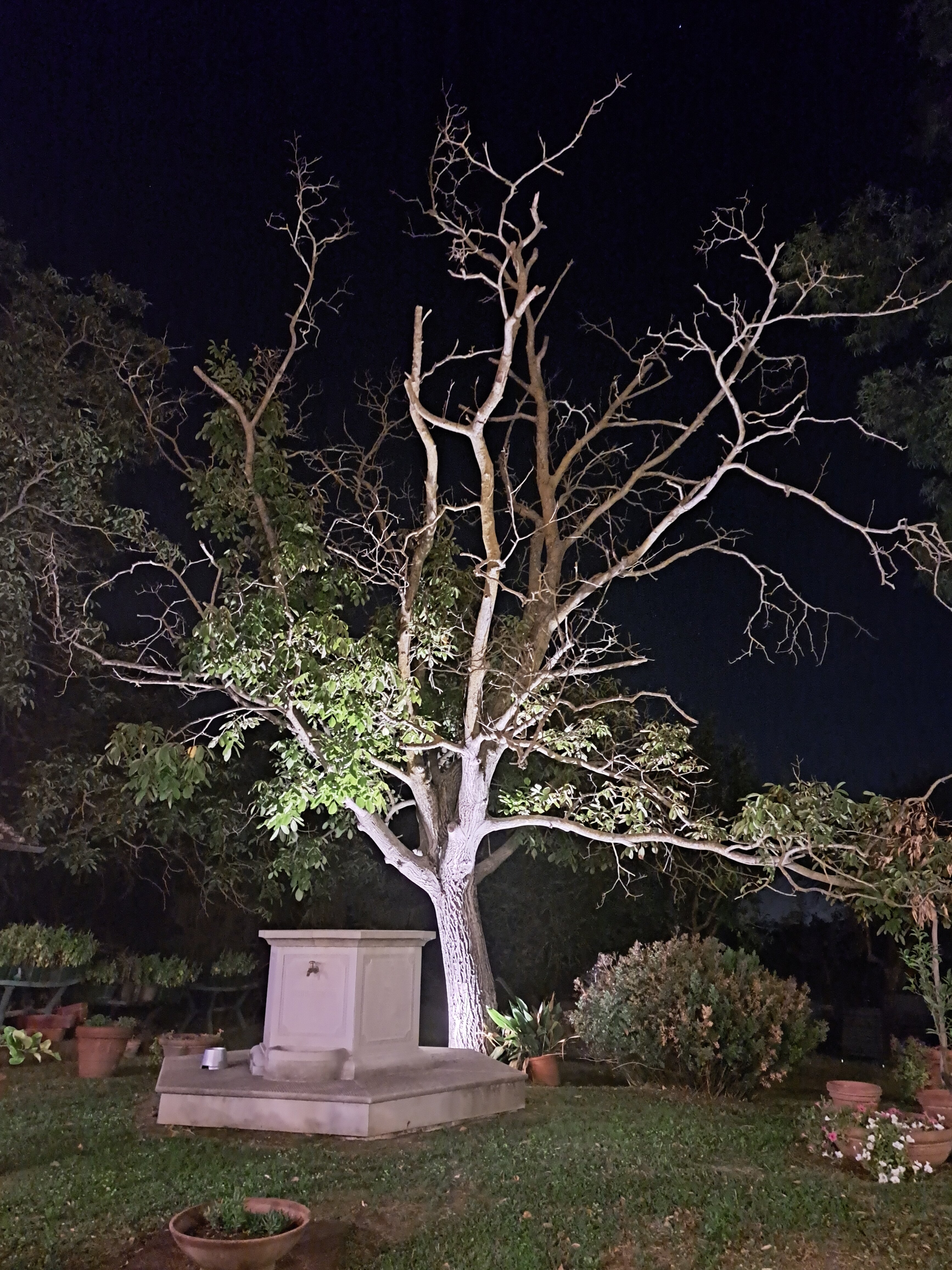 Casale La Piaggia-官方